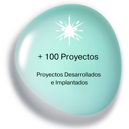 +-100-Projects